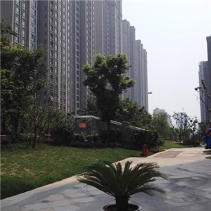 江苏海门龙信小区拼装房